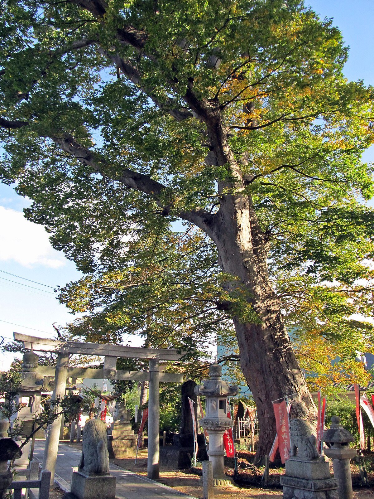 ⛩️ 다카기 신사(다카기진자)